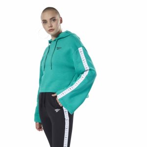 Bluza Z Kapturem Damskie Reebok Classic Vector Turkusowe PL 01HEBJP